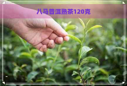 八马普洱熟茶120克