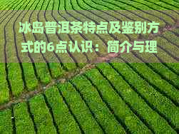 冰岛普洱茶特点及鉴别方式的6点认识：简介与理解