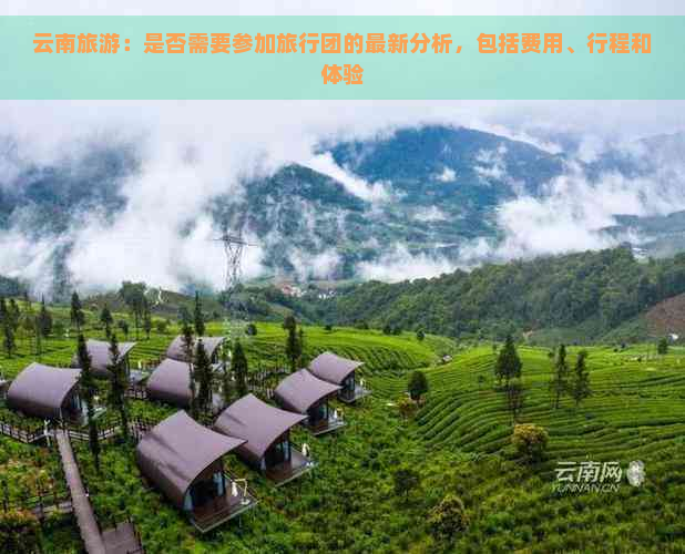 云南旅游：是否需要参加旅行团的最新分析，包括费用、行程和体验