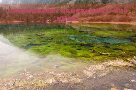 去云南旅游需要报团吗？现在是否有必要跟团游？英语中如何表述？