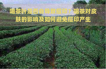 喝茶叶是否会导致痘印？喝茶对皮肤的影响及如何避免痘印产生