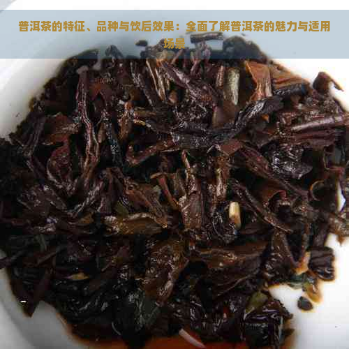 普洱茶的特征、品种与饮后效果：全面了解普洱茶的魅力与适用场景