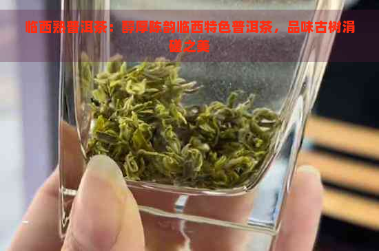 临西熟普洱茶：醇厚陈韵临西特色普洱茶，品味古树涓磋之美