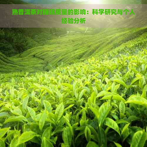 熟普洱茶对睡眠质量的影响：科学研究与个人经验分析