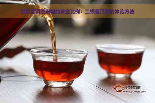 探究普洱茶泡制的黄金比例：二级普洱茶的冲泡方法