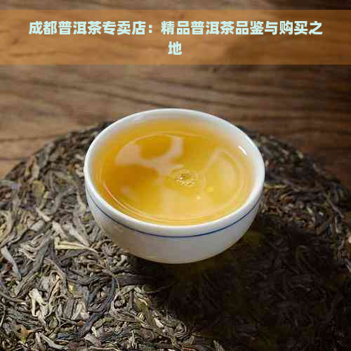 成都普洱茶专卖店：精品普洱茶品鉴与购买之地