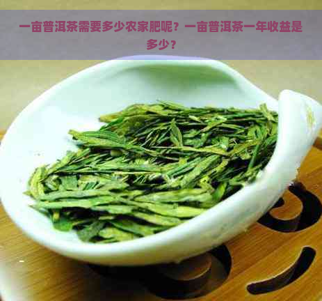 一亩普洱茶需要多少农家肥呢？一亩普洱茶一年收益是多少？