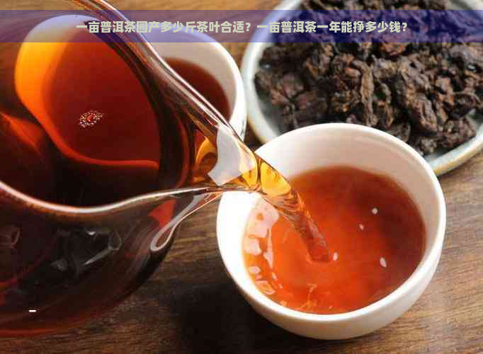 一亩普洱茶园产多少斤茶叶合适？一亩普洱茶一年能挣多少钱？