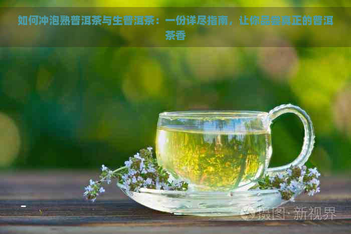 如何冲泡熟普洱茶与生普洱茶：一份详尽指南，让你品尝真正的普洱茶香