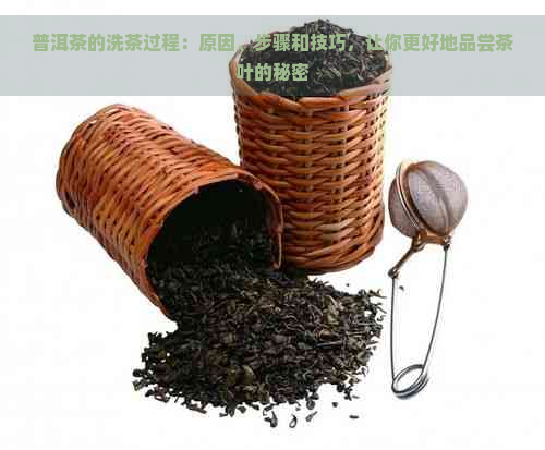 普洱茶的洗茶过程：原因、步骤和技巧，让你更好地品尝茶叶的秘密