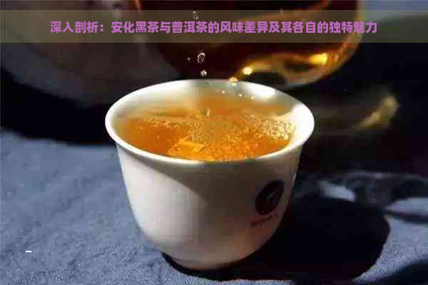 深入剖析：安化黑茶与普洱茶的风味差异及其各自的独特魅力