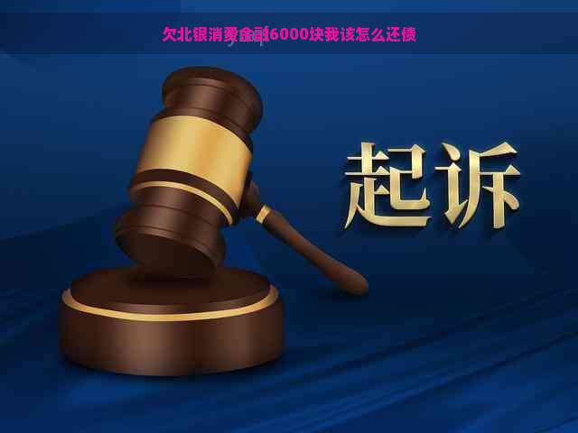 欠北银消费金融6000块我该怎么还债