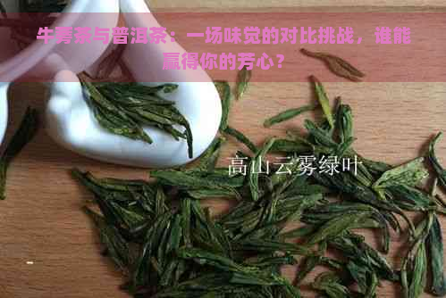 牛蒡茶与普洱茶：一场味觉的对比挑战，谁能赢得你的芳心？