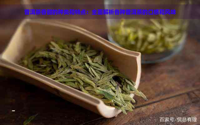 普洱茶香甜的种类和特点：全面解析各种普洱茶的口感和风味