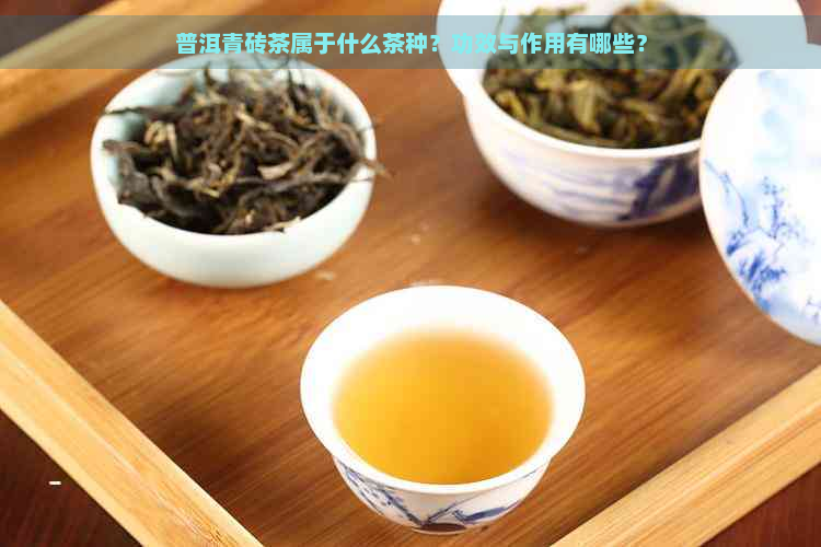 普洱青砖茶属于什么茶种？功效与作用有哪些？