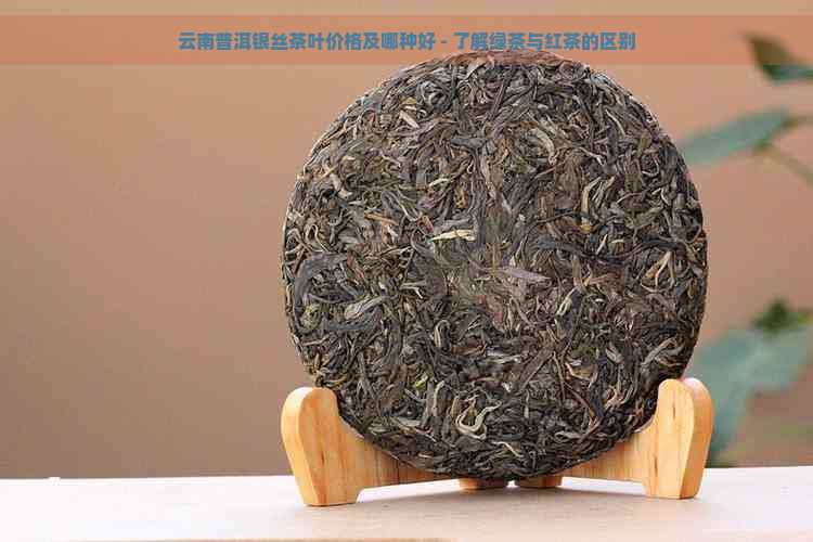 云南普洱银丝茶叶价格及哪种好 - 了解绿茶与红茶的区别