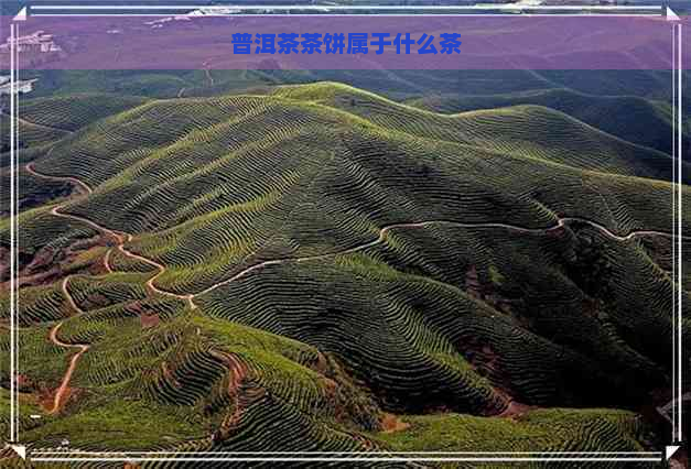 普洱茶茶饼属于什么茶