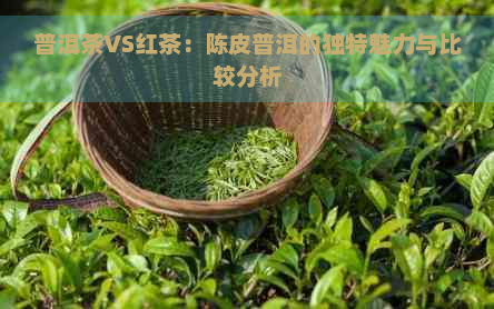 普洱茶VS红茶：陈皮普洱的独特魅力与比较分析