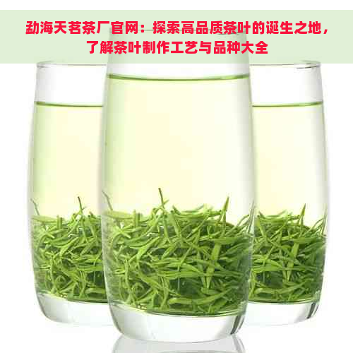 勐海天茗茶厂官网：探索高品质茶叶的诞生之地，了解茶叶制作工艺与品种大全