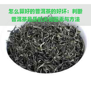 怎么算好的普洱茶的好坏：判断普洱茶品质的关键因素与方法