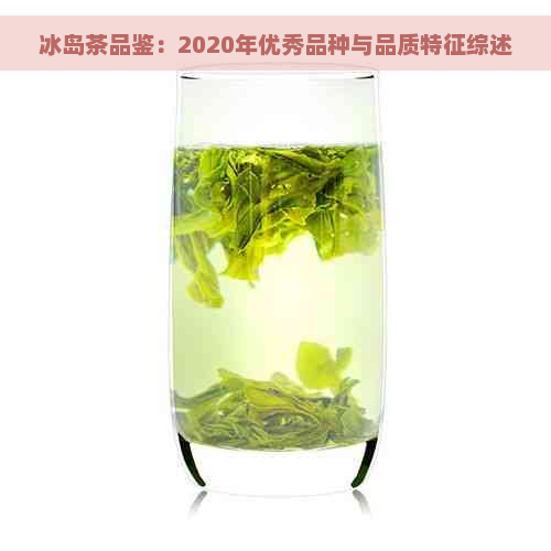 冰岛茶品鉴：2020年优秀品种与品质特征综述