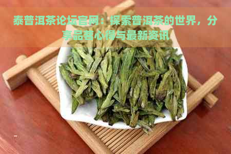 泰普洱茶论坛官网：探索普洱茶的世界，分享品茗心得与最新资讯