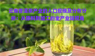 云南普洱茶产业的人口规模及分布分析：从原料到加工的全产业链视角