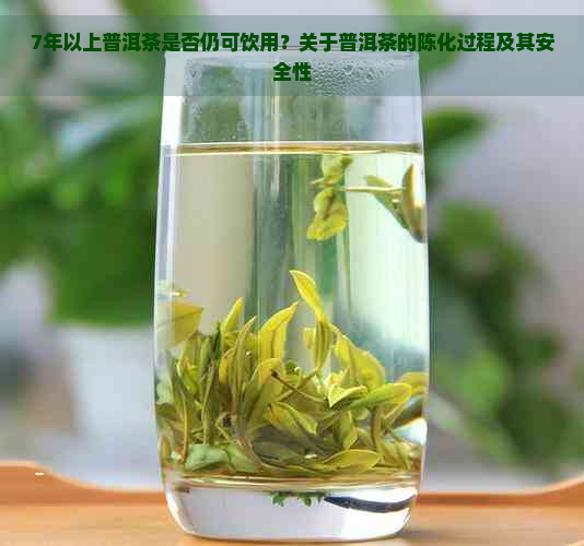 7年以上普洱茶是否仍可饮用？关于普洱茶的陈化过程及其安全性