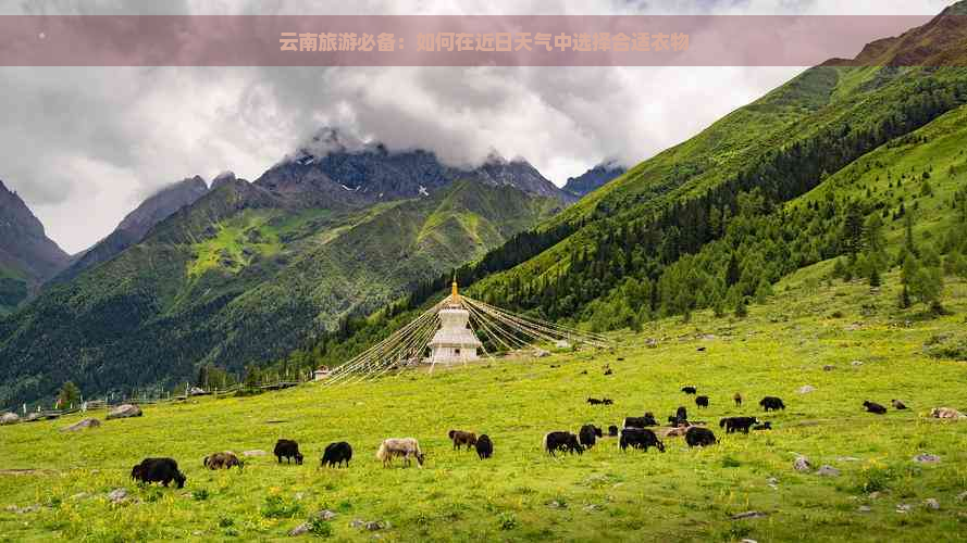 云南旅游必备：如何在近日天气中选择合适衣物