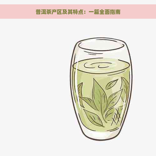 普洱茶产区及其特点：一篇全面指南