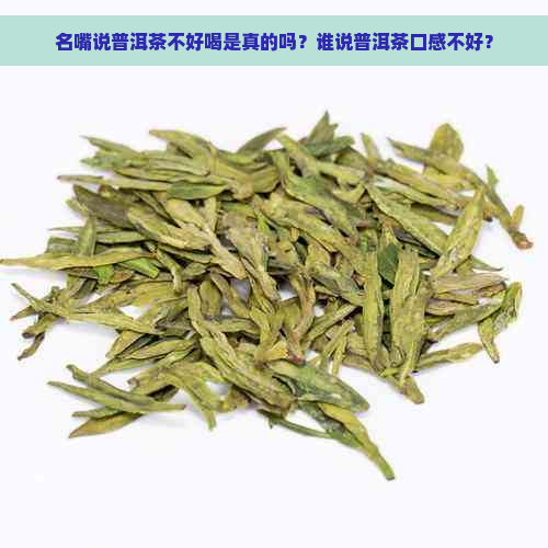 名嘴说普洱茶不好喝是真的吗？谁说普洱茶口感不好？