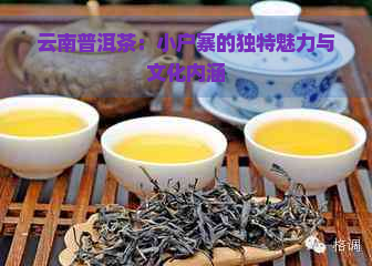 云南普洱茶：小户寨的独特魅力与文化内涵