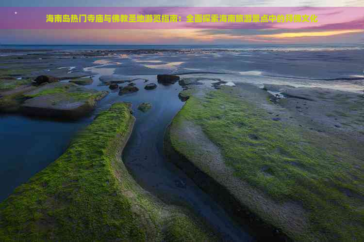 海南岛热门寺庙与佛教圣地游览指南：全面探索海南旅游景点中的拜佛文化