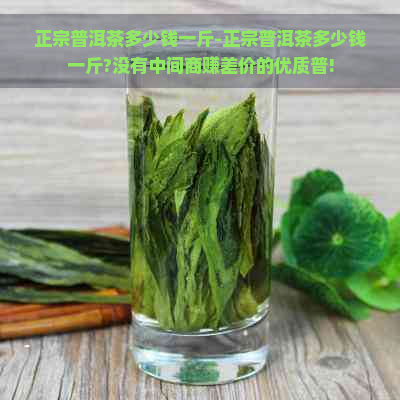 正宗普洱茶多少钱一斤-正宗普洱茶多少钱一斤?没有中间商赚差价的优质普!