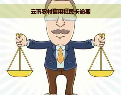 云南农村信用社民卡逾期