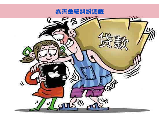 嘉善金融纠纷调解