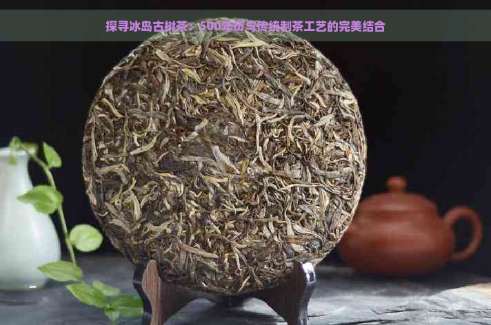 探寻冰岛古树茶：500年历与传统制茶工艺的完美结合