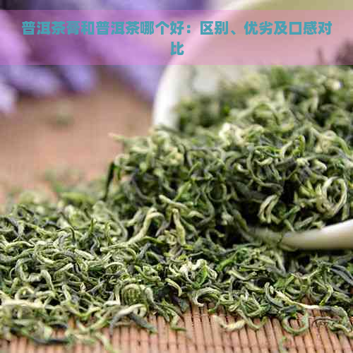 普洱茶膏和普洱茶哪个好：区别、优劣及口感对比