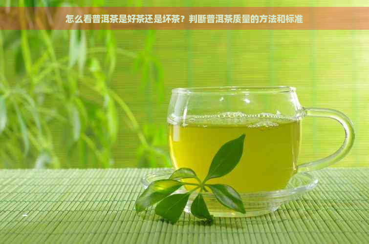 怎么看普洱茶是好茶还是坏茶？判断普洱茶质量的方法和标准