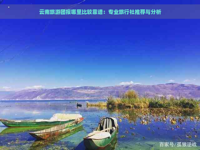 云南旅游团报哪里比较靠谱：专业旅行社推荐与分析