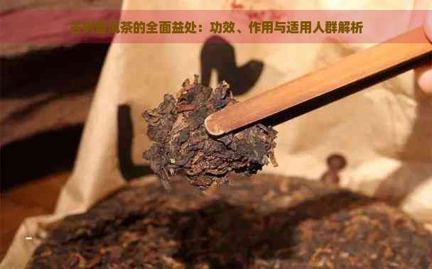 古树普洱茶的全面益处：功效、作用与适用人群解析