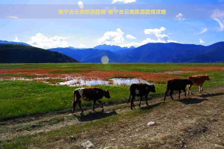 南宁去云南旅游路线-南宁去云南旅游路线攻略