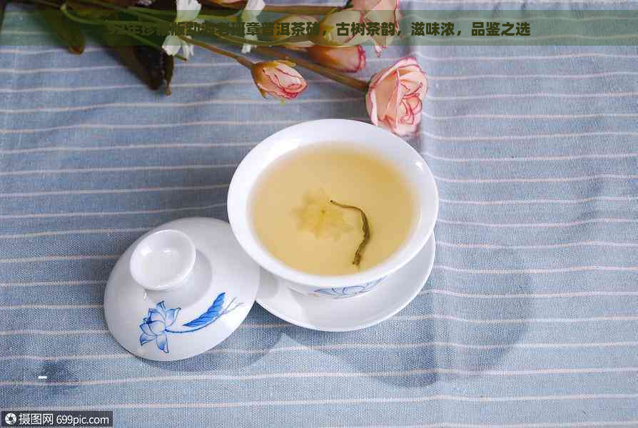 92年珍藏版勐海老班章普洱茶砖，古树茶韵，滋味浓，品鉴之选