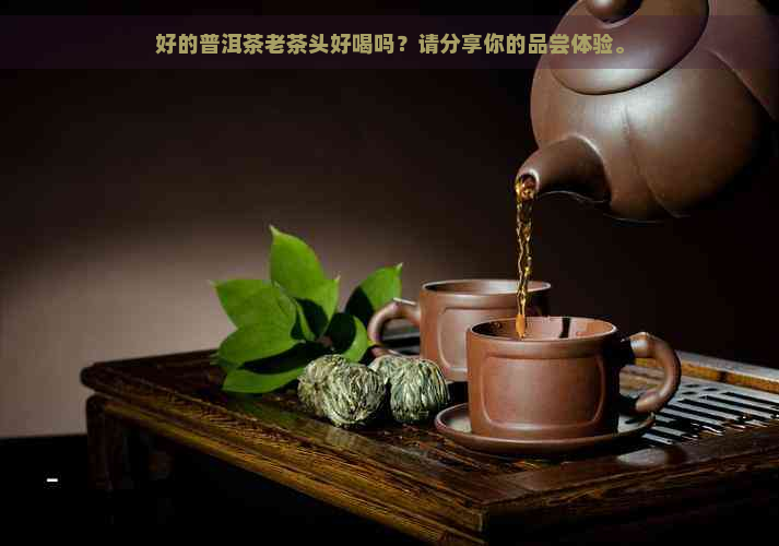 好的普洱茶老茶头好喝吗？请分享你的品尝体验。