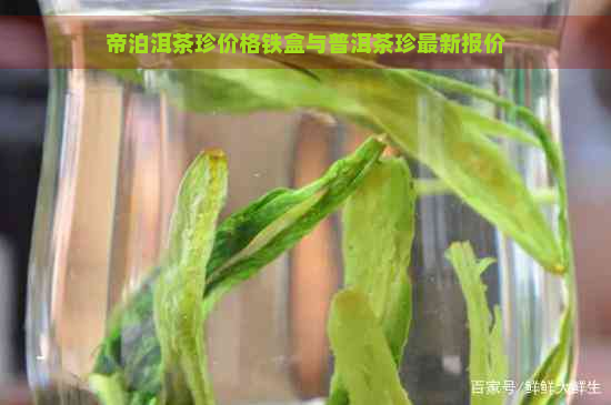 帝泊洱茶珍价格铁盒与普洱茶珍最新报价