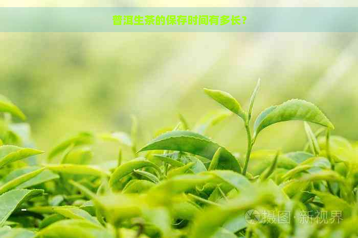 普洱生茶的保存时间有多长？