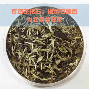 普洱茶化石：揭示它是否为红茶的秘密