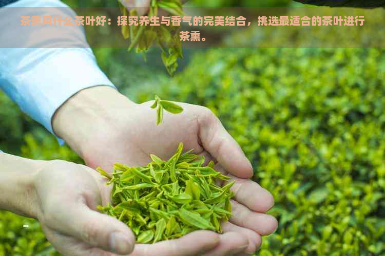 茶熏用什么茶叶好：探究养生与香气的完美结合，挑选最适合的茶叶进行茶熏。