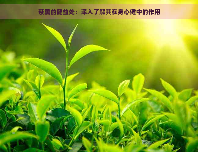 茶熏的健益处：深入了解其在身心健中的作用