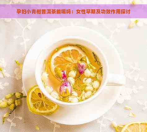 孕妇小青柑普洱茶能喝吗：女性早期及功效作用探讨